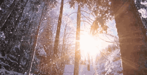 640 (5).gif