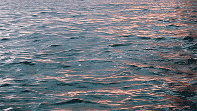 640 (1).gif