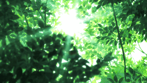 640.gif
