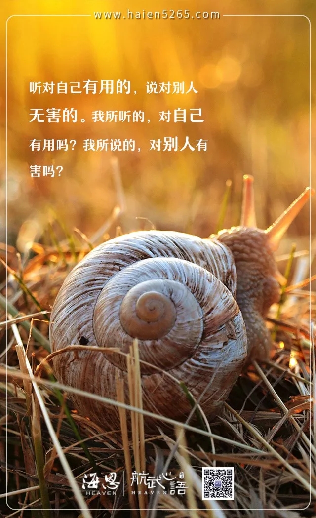 640.webp (42).jpg
